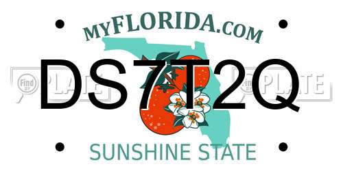 DS7T2Q Florida License Plate