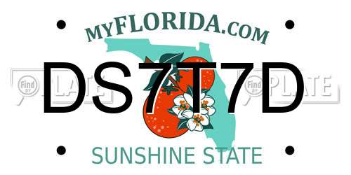 DS7T7D Florida License Plate