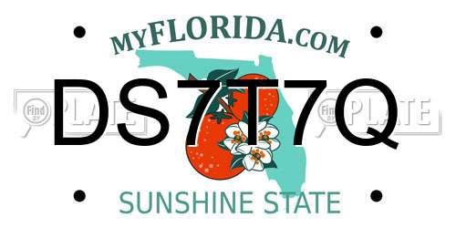 DS7T7Q Florida License Plate