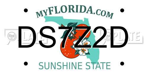 DS7Z2D Florida License Plate