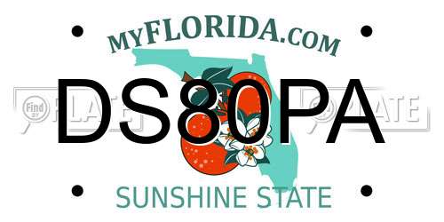 DS80PA Florida License Plate