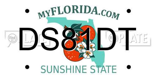 DS81DT Florida License Plate