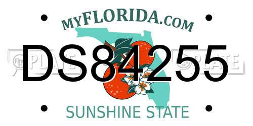 DS84255 Florida License Plate