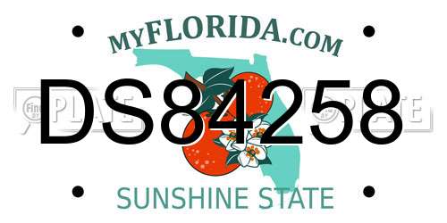 DS84258 Florida License Plate