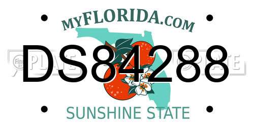 DS84288 Florida License Plate