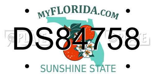 DS84758 Florida License Plate