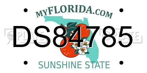 DS84785 Florida License Plate