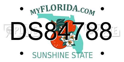 DS84788 Florida License Plate