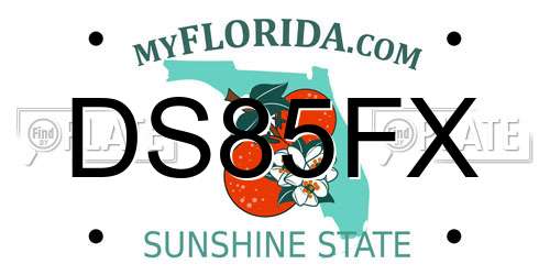 DS85FX Florida License Plate