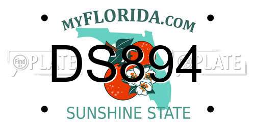 DS894 Florida License Plate