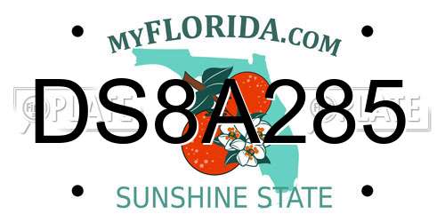DS8A285 Florida License Plate