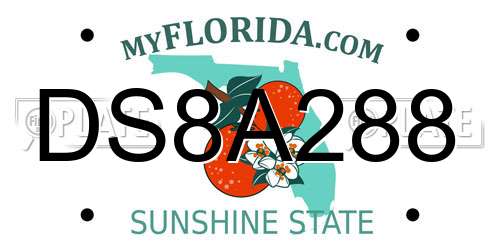 DS8A288 Florida License Plate