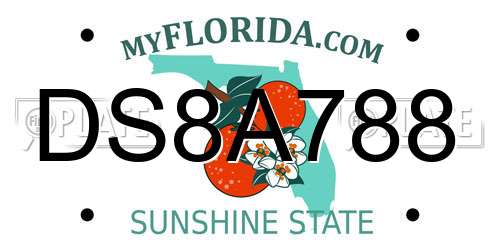 DS8A788 Florida License Plate