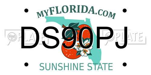 DS90PJ Florida License Plate