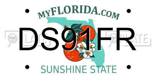 DS91FR Florida License Plate