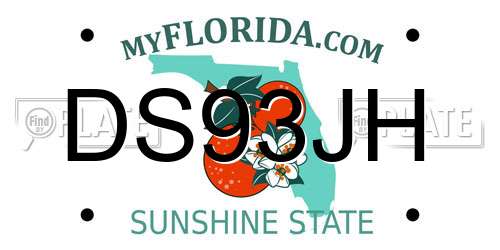 DS93JH Florida License Plate