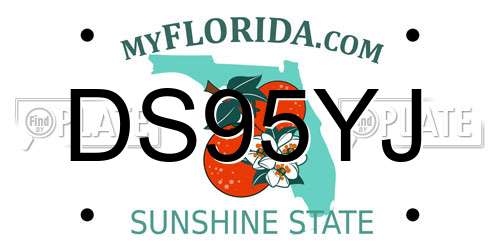 DS95YJ Florida License Plate
