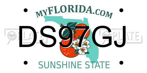 DS97GJ Florida License Plate