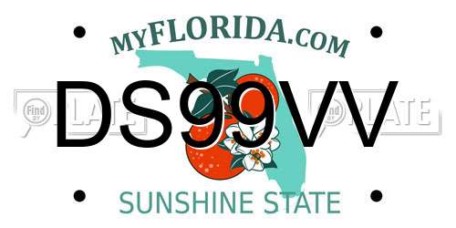 DS99VV Florida License Plate