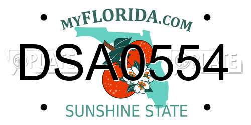 DSA0554 Florida License Plate