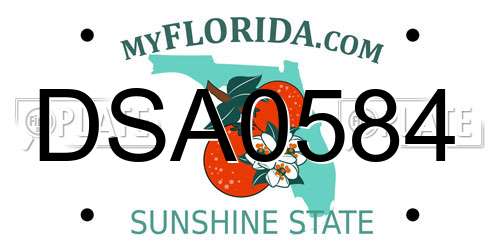 DSA0584 Florida License Plate