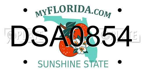DSA0854 Florida License Plate