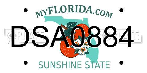 DSA0884 Florida License Plate