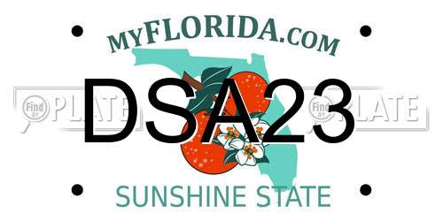 DSA23 Florida License Plate