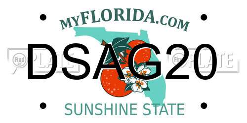 DSAG20 Florida License Plate