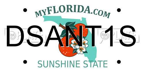 DSANT1S Florida License Plate