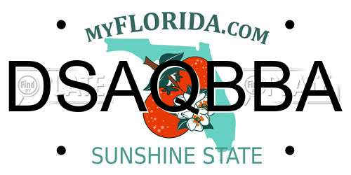 DSAQBBA Florida License Plate