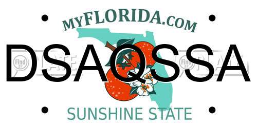 DSAQSSA Florida License Plate