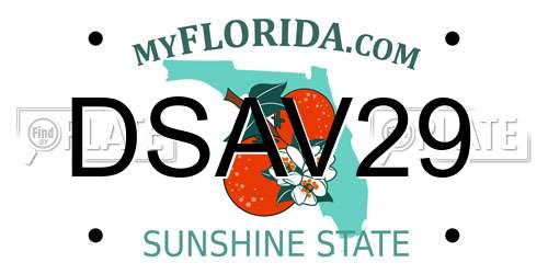 DSAV29 Florida License Plate