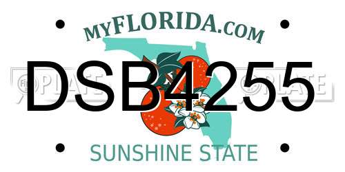 DSB4255 Florida License Plate