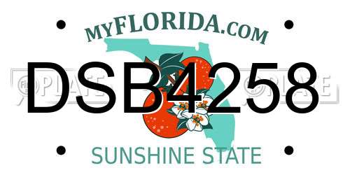 DSB4258 Florida License Plate