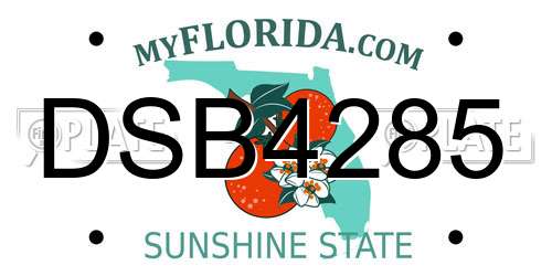 DSB4285 Florida License Plate