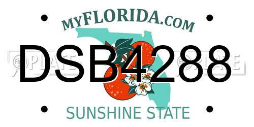 DSB4288 Florida License Plate