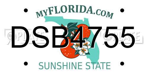 DSB4755 Florida License Plate