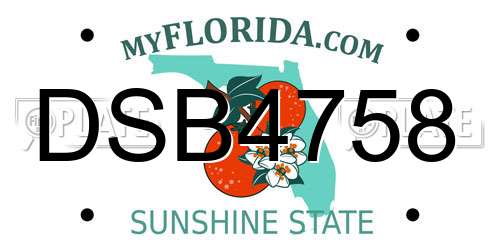 DSB4758 Florida License Plate