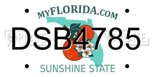 DSB4785 Florida License Plate