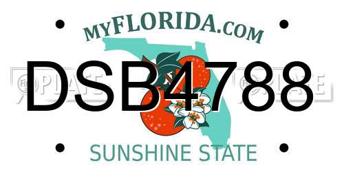 DSB4788 Florida License Plate