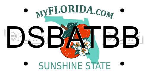 DSBATBB Florida License Plate