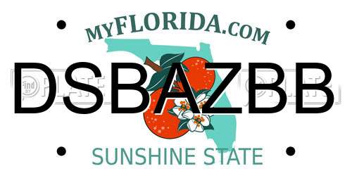 DSBAZBB Florida License Plate