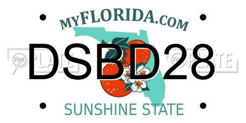 DSBD28 Florida License Plate