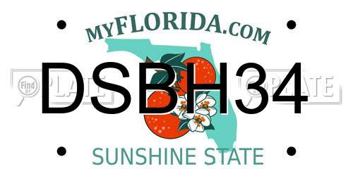 DSBH34 Florida License Plate