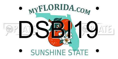 DSBI19 Florida License Plate