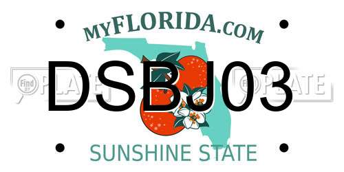 DSBJ03 Florida License Plate