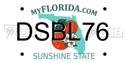 DSBL76 Florida License Plate