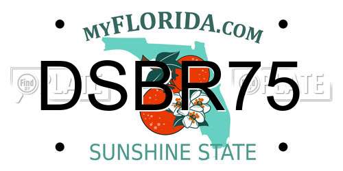 DSBR75 Florida License Plate