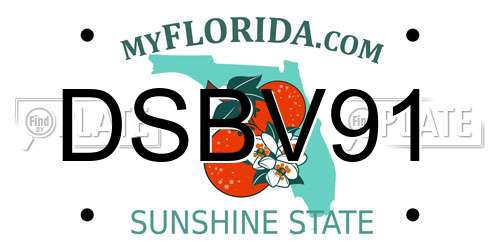 DSBV91 Florida License Plate